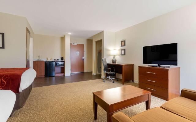 Comfort Inn & Suites Macon West