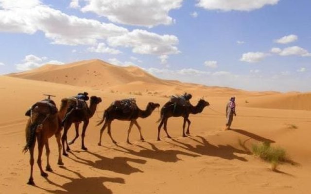 Barak Desert Camp