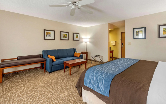 Comfort Inn Anderson South