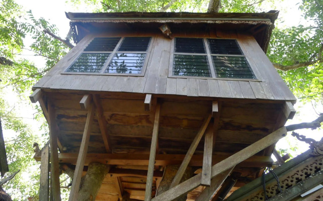 Pai Treehouse Resort