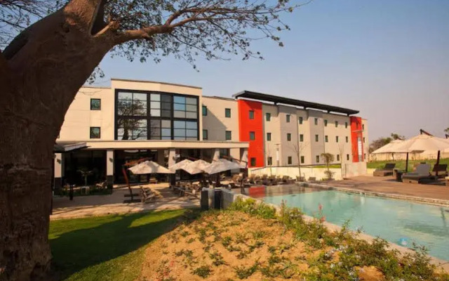The VIP Executive Baobab