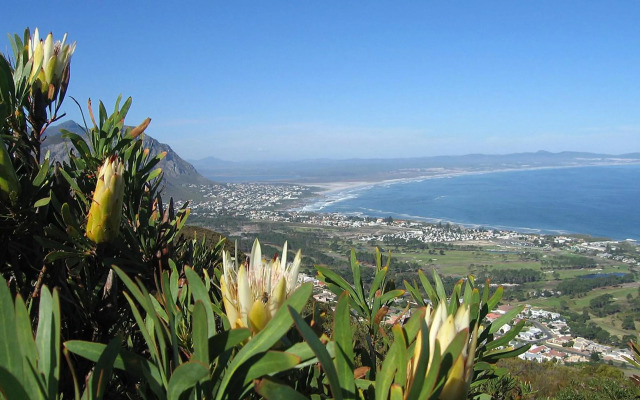 Somerset Sights Bed and Breakfast