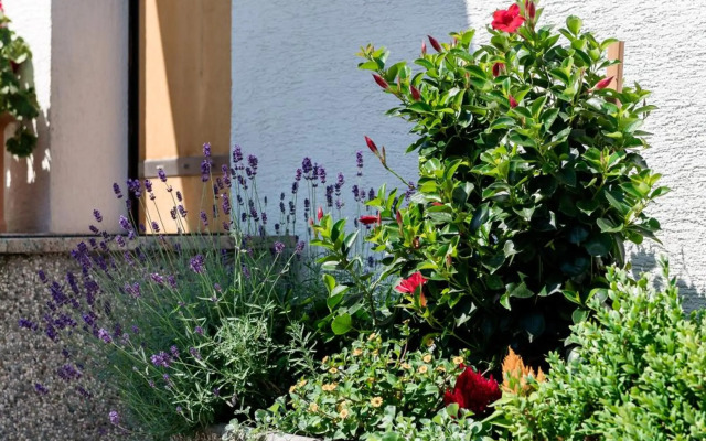 Rožna Dolina Apartment