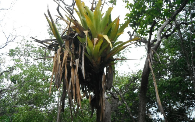 Iberostate - Mediterraneo BL4