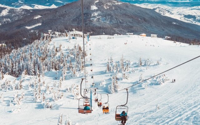 Abachi Chalet Les Gets - by EMERALD STAY