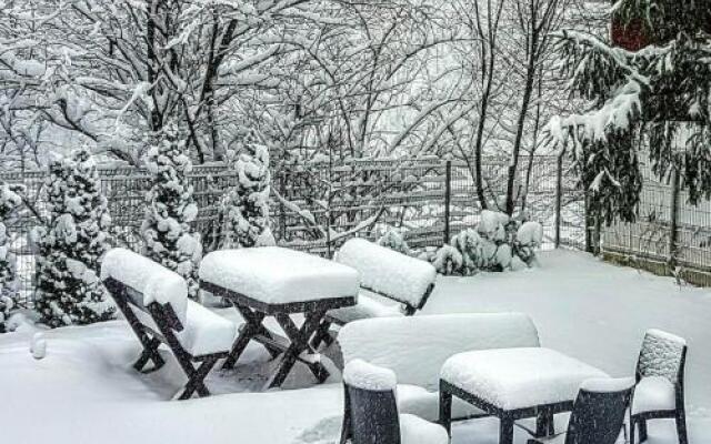 Pensiunea Steaua Nordului