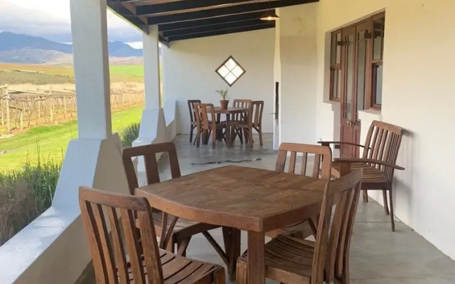 Endless Vineyards at Wildekrans Wine Estate