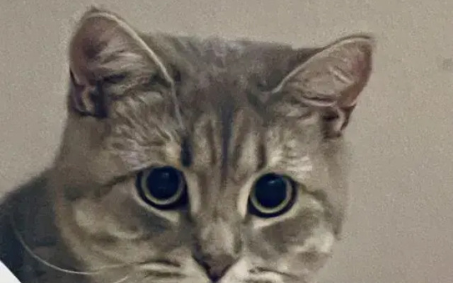 Yiwan Huqi Homestay in Lugu Lake