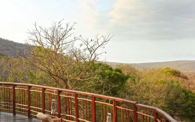 Thanda Safari