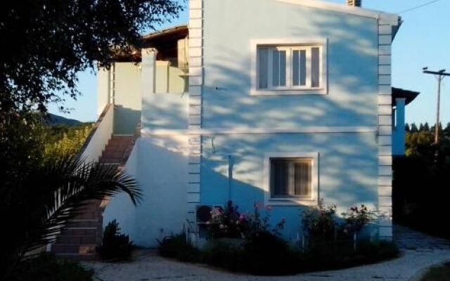 Tom's House