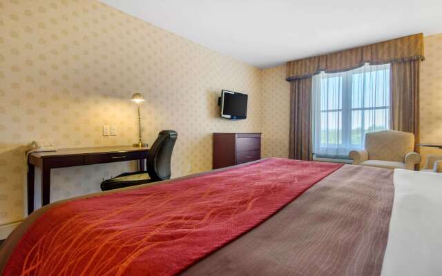 Comfort Inn & Suites Levis / Rive Sud Quebec city