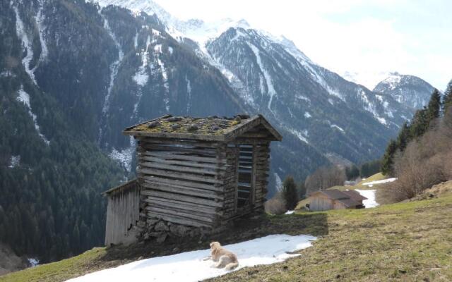 Pension Steinadler