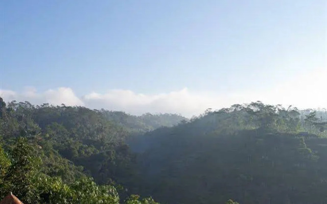 Puri Sebatu Resort Ubud