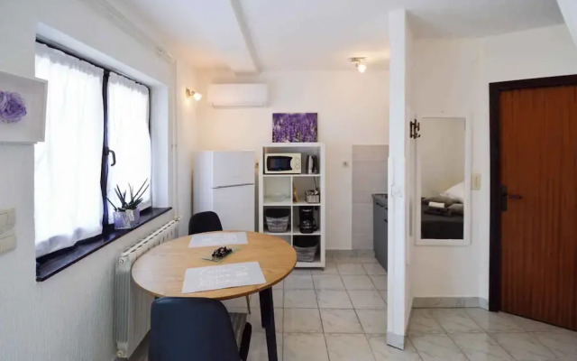 Apartments Pjescana Uvala/istrien 11044