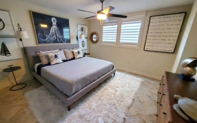 Sand Dollar 101