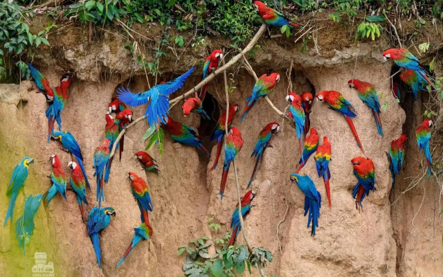 Monte Amazonico Lodge