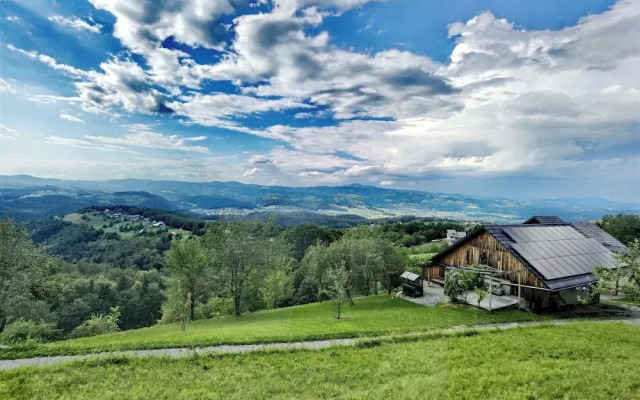 Vineyard cottage Matej