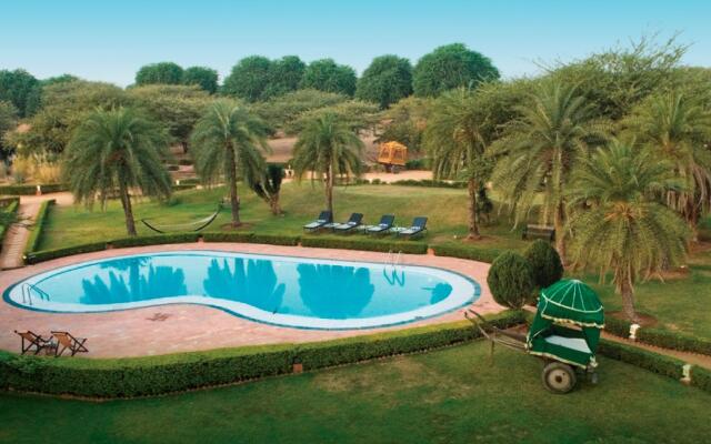 Clarks Safari Pushkar
