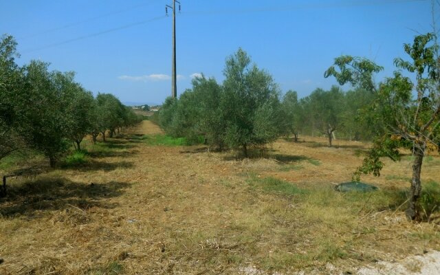 Quinta de São João