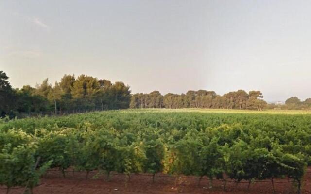 Appartement Le Lavandou, 1 pièce, 4 personnes - FR-1-251-236