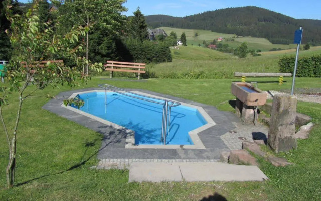 Hotel Schwarzwaldgasthof Zur Traube