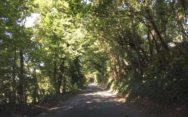 Cobnut Barn, Bourton On The Water