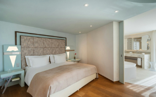 Hotel Eden Roc