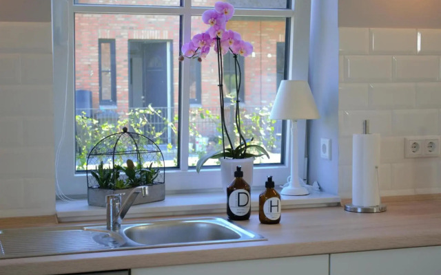 Reetdachhaus Nordstern