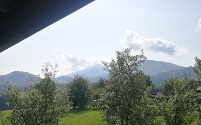 Pensiunea Maramures Landscape