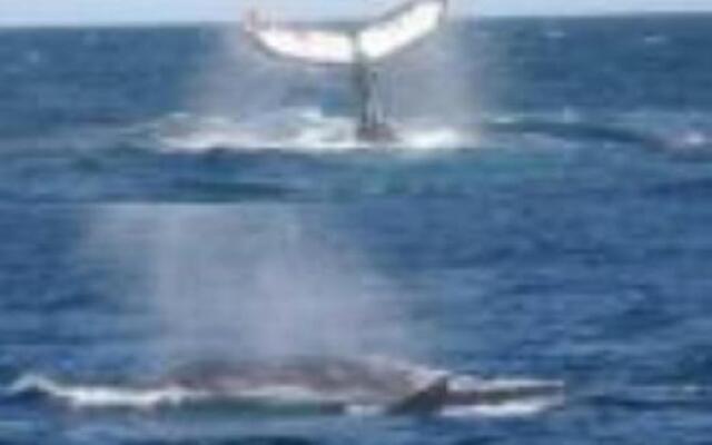 A Sacred Mountain Retreat