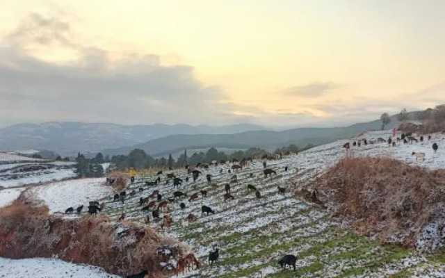 Red Land Wangcai Resort