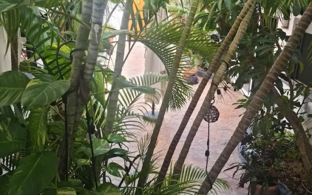 TJ Apartments, Calle 6, PDC