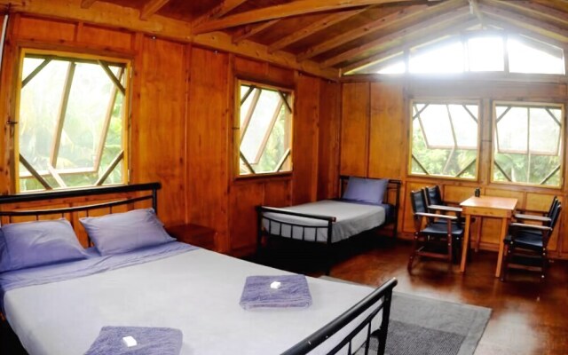 Daintree Rainforest Bungalows