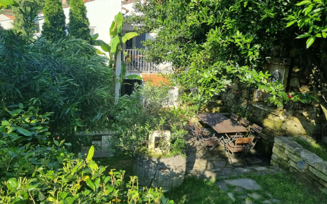 Secret garden of Piran