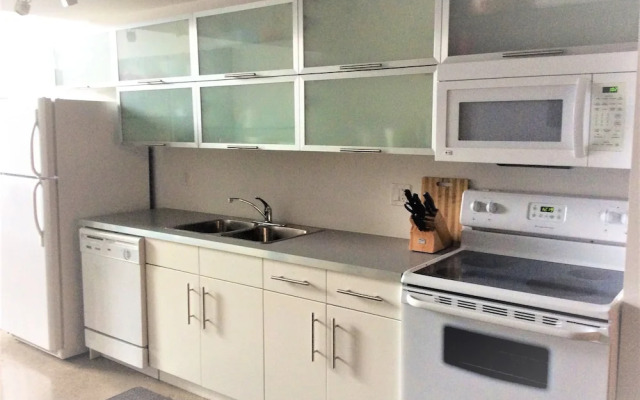 Downtown Executive Condo Loft