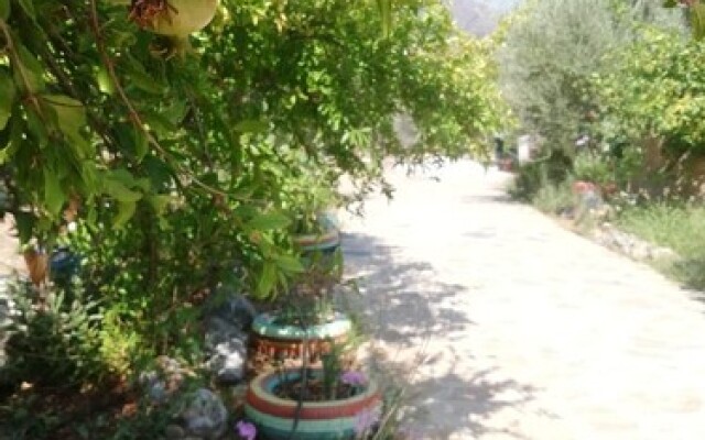 Datca Ciftlik Evi