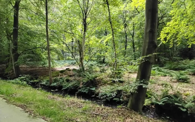 Tranquil Lakeside Stay for 4 Guests