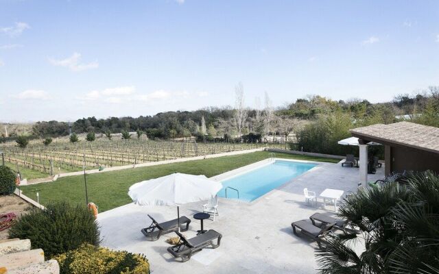 Vinyes de l'Empordà