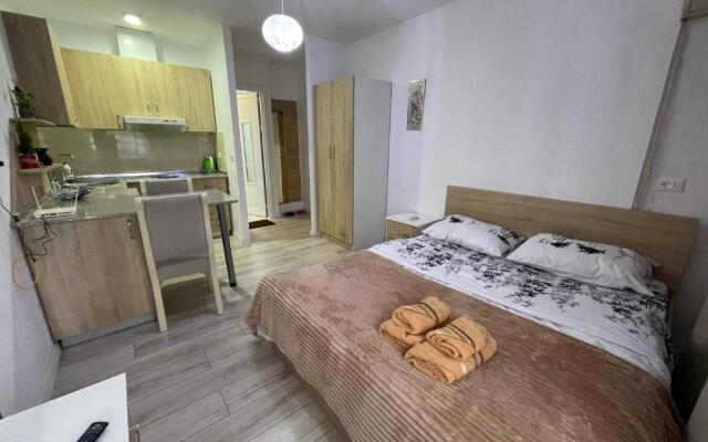 Downtown Modern Studio Apartment