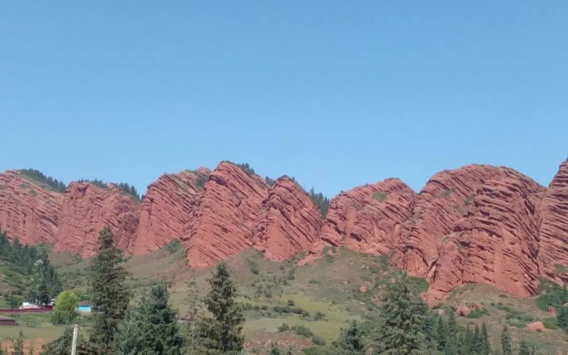 Waterfall in the yard