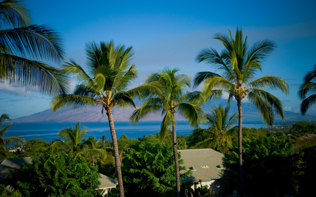 Hotel Wailea, Relais & Chateaux - Adults Only