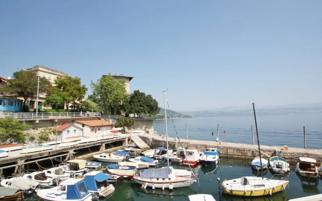 Laurus Tuli Evica in Tuli Evica