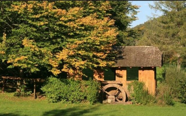 Schwarzwaldhaus am Kurpark