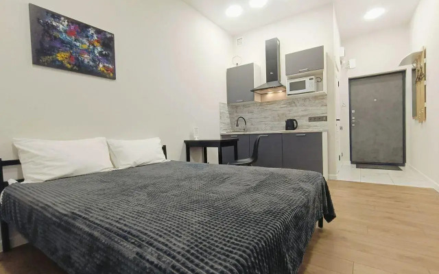 Апартаменты на проспекте Конструктора М.Т. Калашникова 21