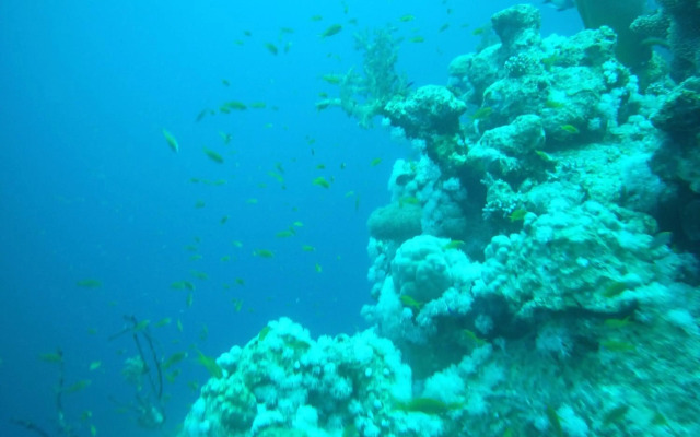 Seaview Hotel Dahab