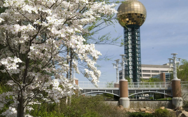 THE TENNESSEAN Hotel