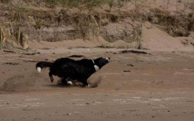 @ the beach & not quite @ the beach Holiday Cottages - Stanley