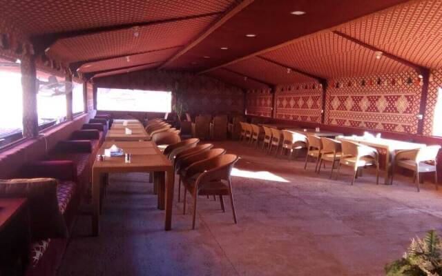 Alamer Hostel Camp