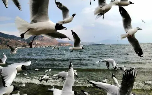 Shiyi Lake View Inn