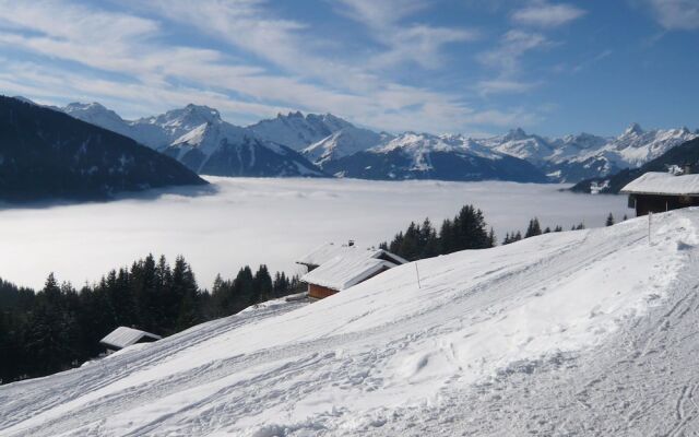Modern Apartment in Silbertal With Sauna